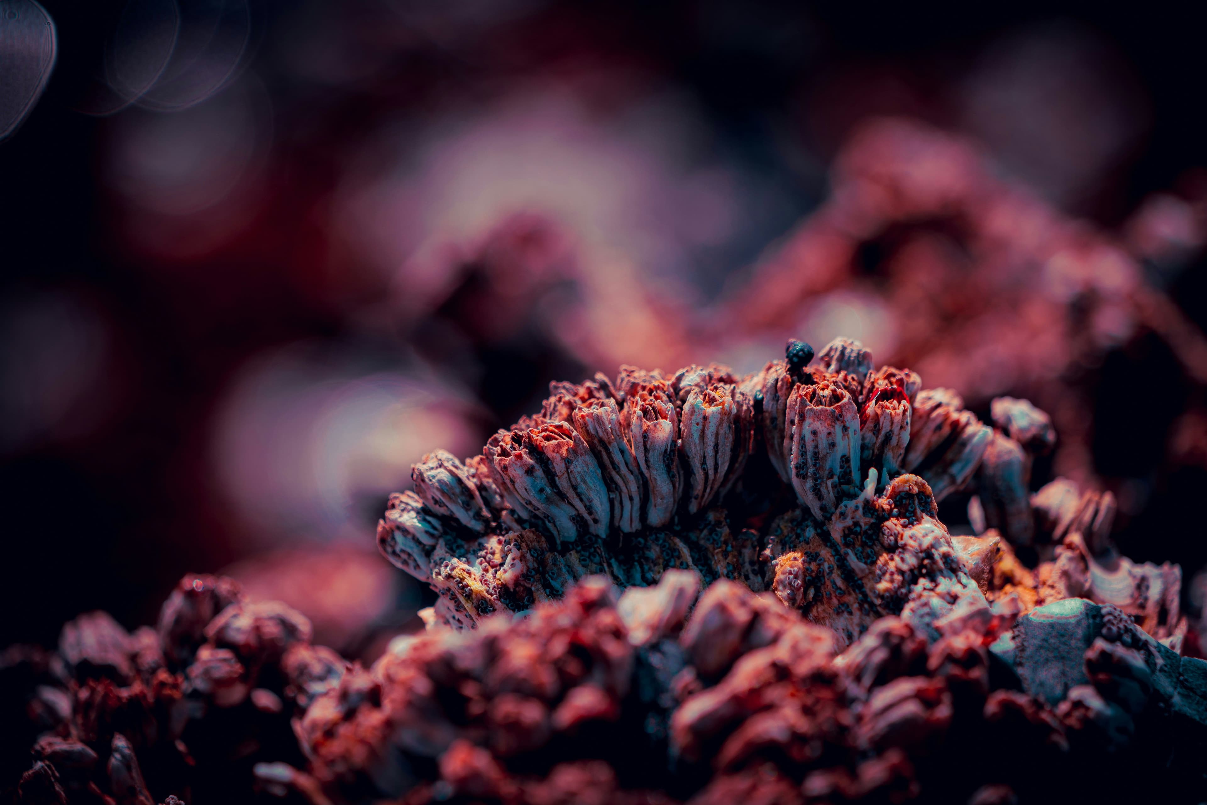 Co-existence with nature and other species