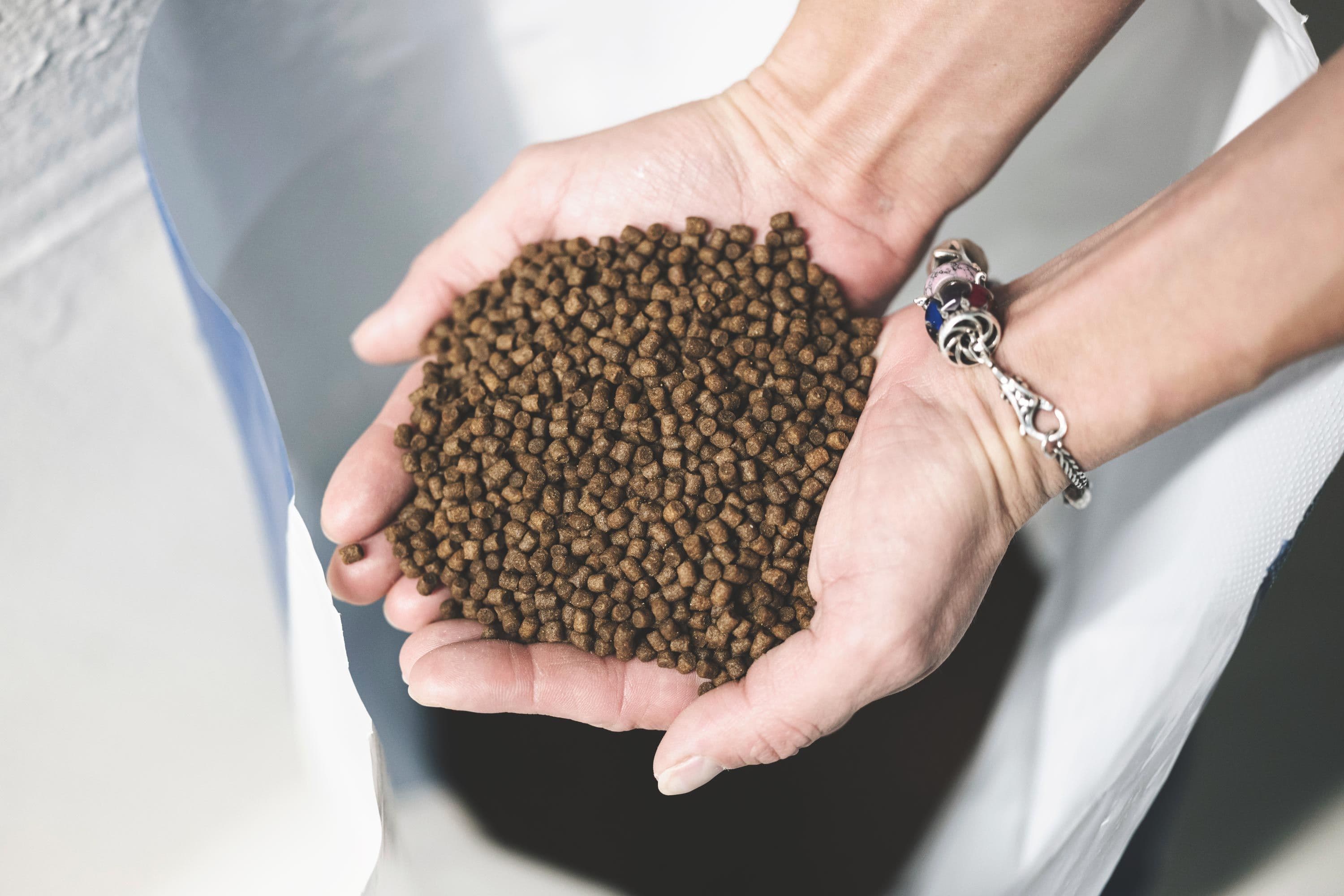 Grieg Seafood maintains ban on Russian feed ingredients