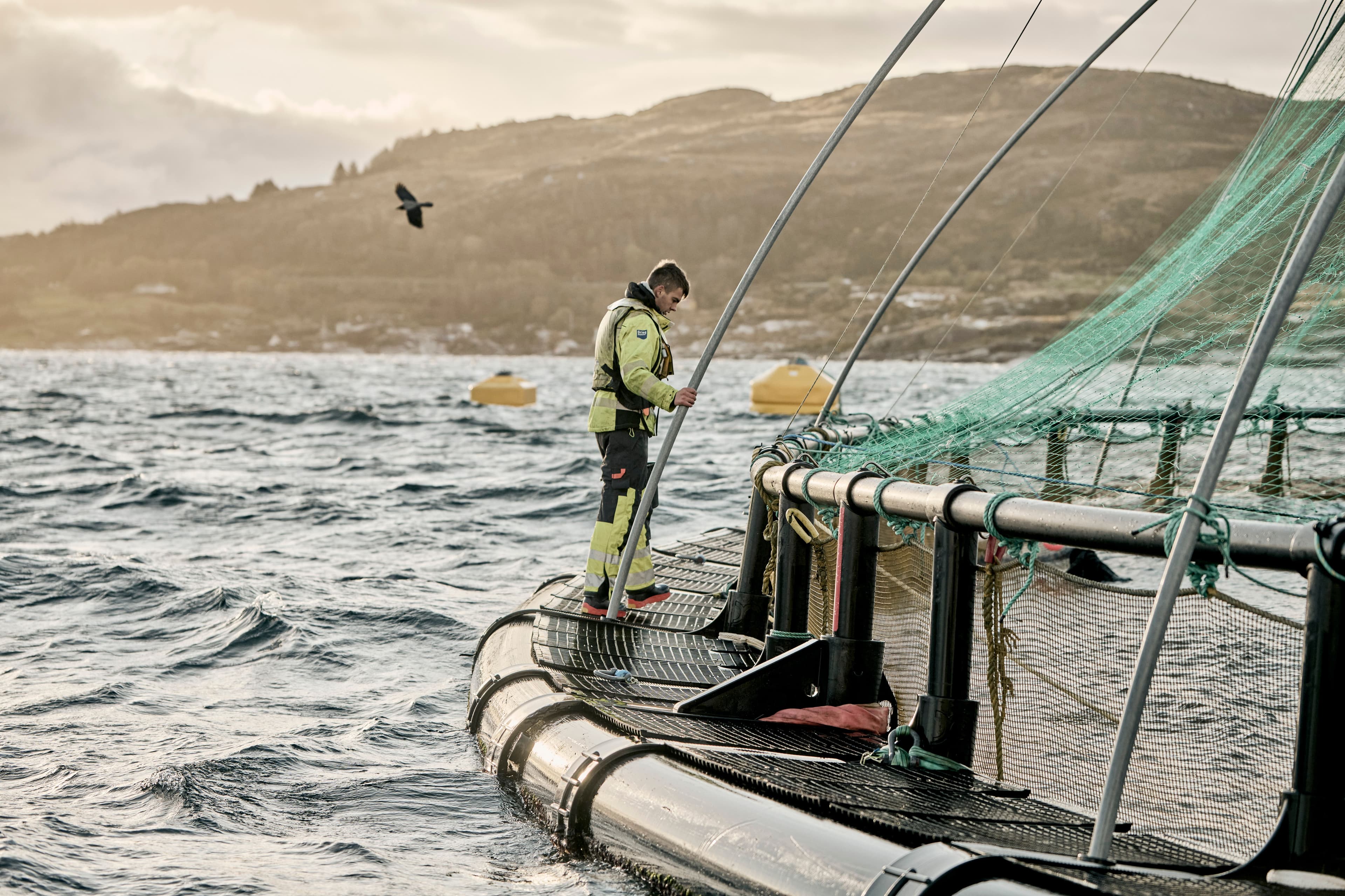 Les Grieg Seafoods høringssvar til regjeringens forslag om grunnrenteskatt på havbruk