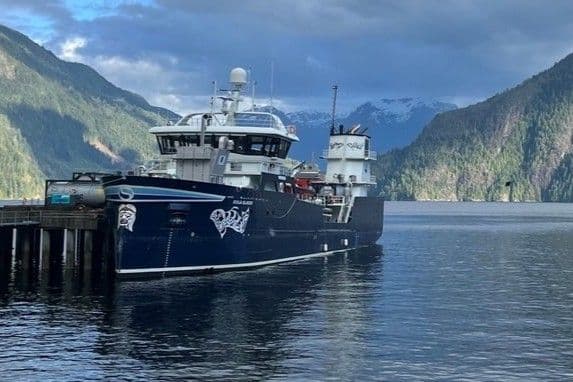 Ronja Islander Incident